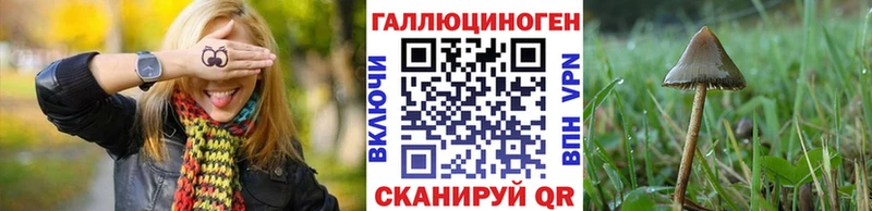 Галлюциногенные грибы прущие грибы  Ростов 